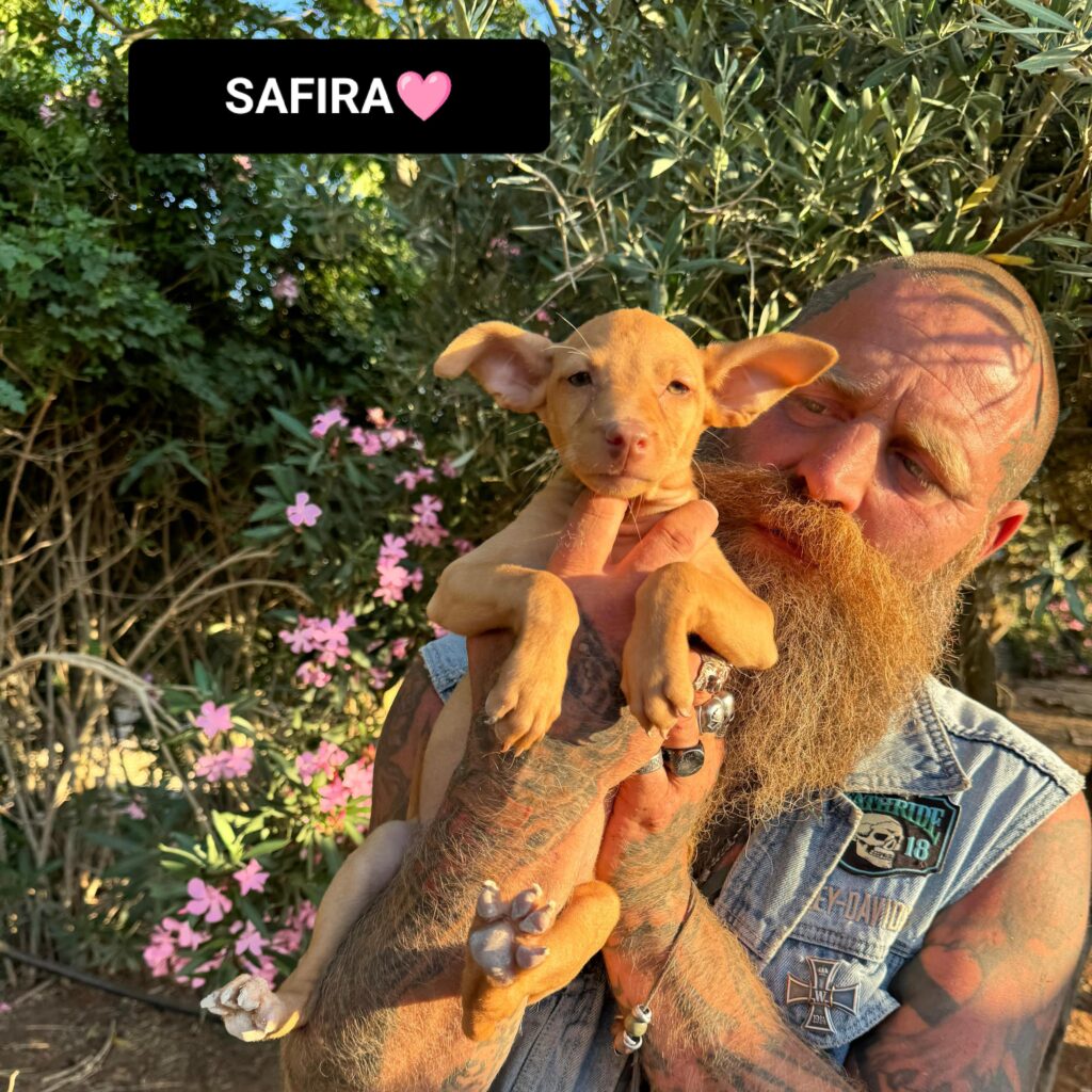 SAFIRA